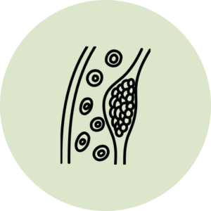 icon Reduces the production of plaque on blood vessels