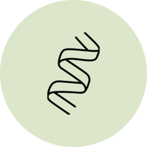 icon Targets fat cells no loss of muscle mass or dehydration